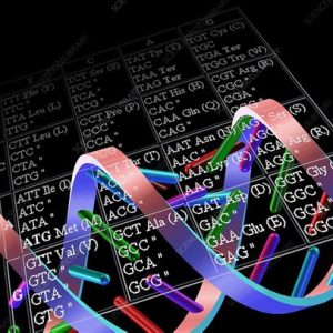 nutrigentics - image of genetic code